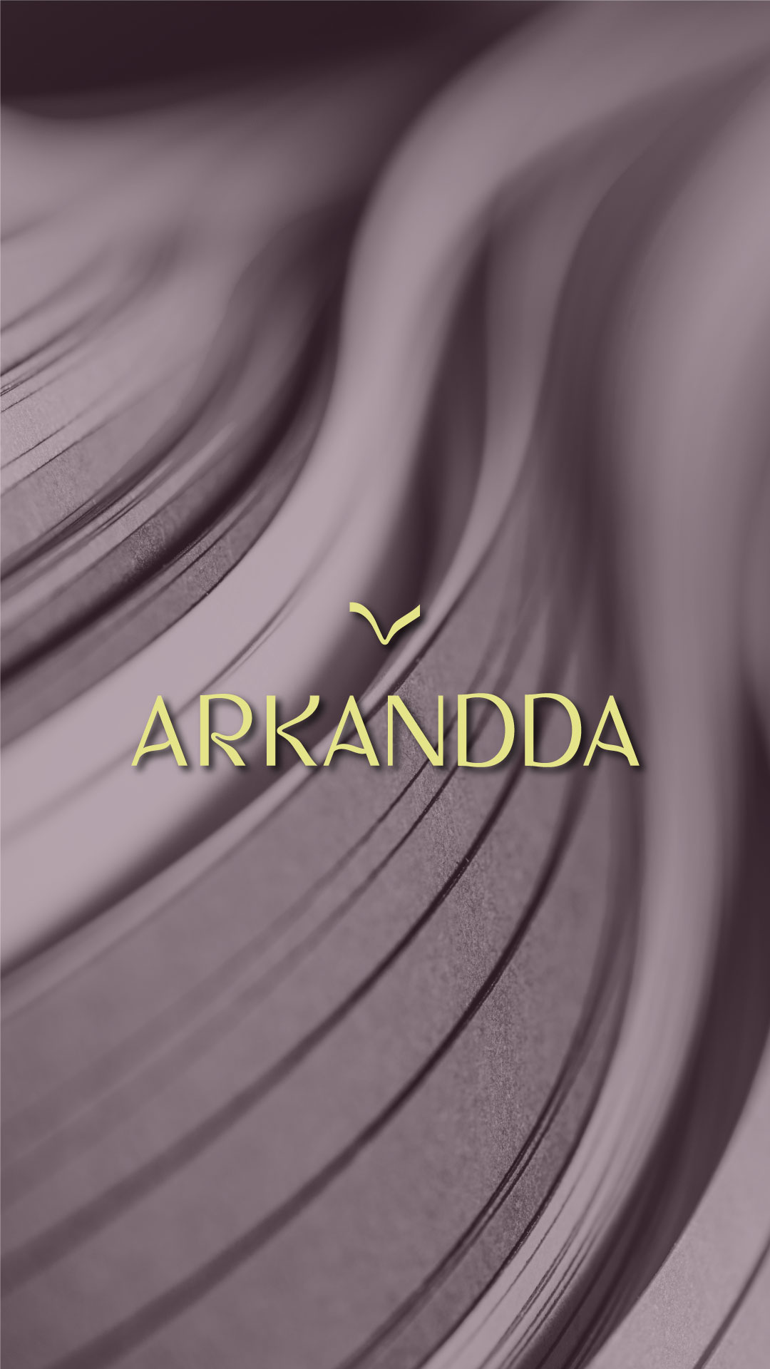 Arkandda Papeleria Branding Blema Estudio 3